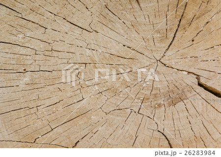 Detail of wooden structure 26283984