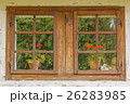Closeup of old wooden windows with flowers 26283985