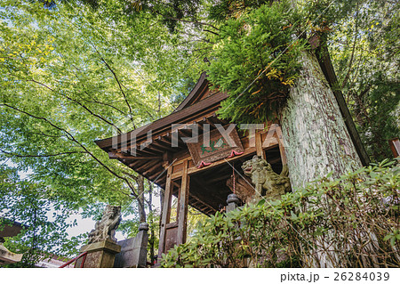 森の中のお堂 森の中のお堂 26284039