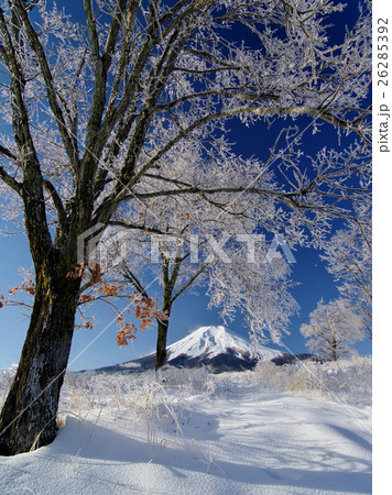 梨ケ原雨氷の朝 梨ケ原雨氷の朝 26285392