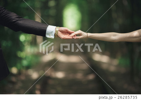 Wedding couple bride and groom holding hands Wedding couple bride and groom holding hands 26285735