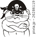 Pirate cat 26286119