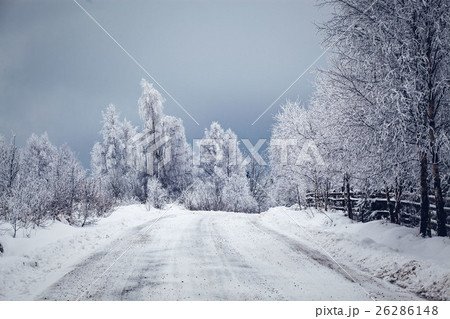 snowy winter landscape snowy winter landscape 26286148