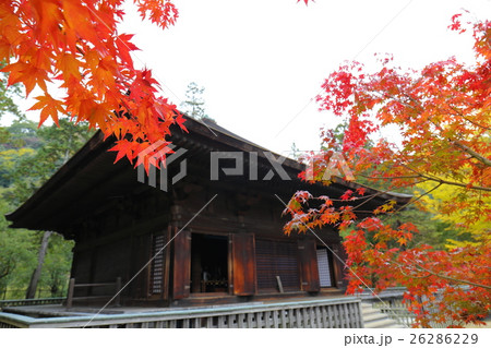 阿弥陀堂の秋～2016 26286229