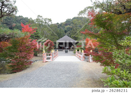 阿弥陀堂の秋～2016 26286231