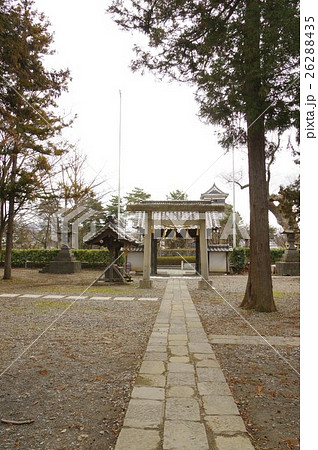 信州　松本の神社　松本神社　参道より松本城を望む　松本城の北　松本城主戸田一族を祀った神社 26288435