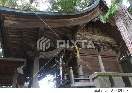 信州 安曇野 池田町の渋田見諏訪神社 大隅流の彫刻が見事な江戸時代の本殿 右俯瞰横 信州 安曇野 池田町の渋田見諏訪神社 大隅流の彫刻が見事な江戸時代の本殿 右俯瞰横 26289123