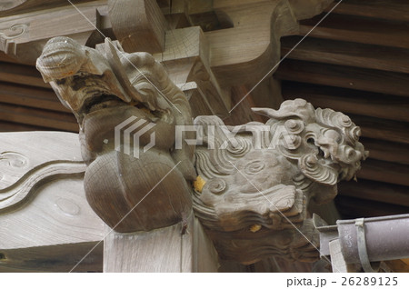 信州 安曇野 池田町の渋田見諏訪神社 大隅流の彫刻が見事な江戸時代の本殿 向拝の獅子と獏の彫刻 信州 安曇野 池田町の渋田見諏訪神社 大隅流の彫刻が見事な江戸時代の本殿 向拝の獅子と獏の彫刻 26289125