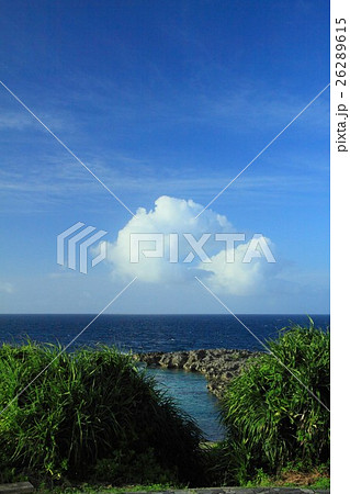 白鳥崎(伊良部島) 白鳥崎(伊良部島) 26289615