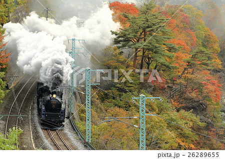 紅葉の上越線SL 紅葉の上越線SL 26289655