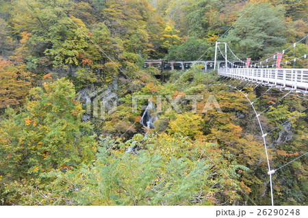 道の駅月山にある「ふれあい橋」 道の駅月山にある「ふれあい橋」 26290248