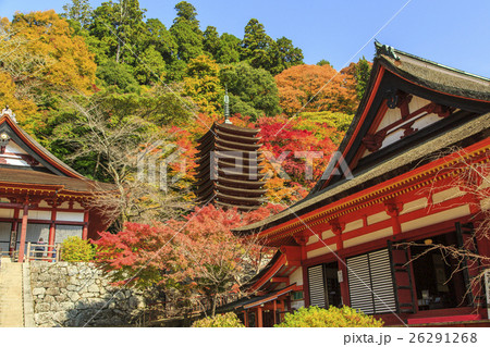 談山神社の紅葉 26291268