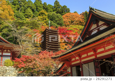 談山神社の紅葉 26291271