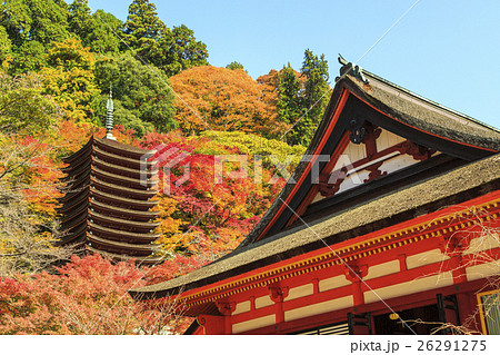 談山神社の紅葉 26291275