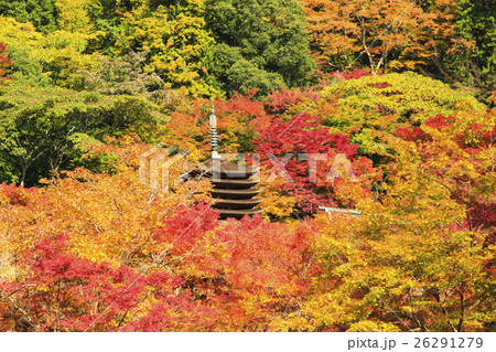 談山神社の紅葉 26291279