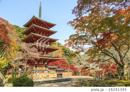 長谷寺の紅葉 長谷寺の紅葉 26291395