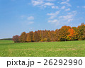 Autumn rural landscape with a forest 26292990