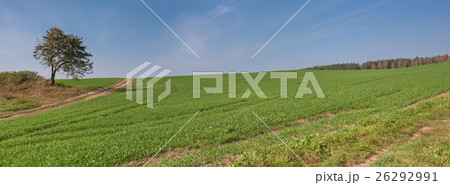 Summer rural landscape with a field and the blue 26292991