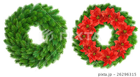 Christmas wreath. Red poinsettia flowers 26296315