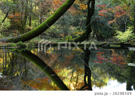 山吹水源 山吹水源 26296589
