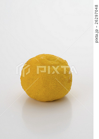 柚子の実 ユズ 柚子の実 ユズ 26297048