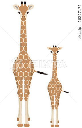 Parent And Child Of Giraffe Stock Illustration