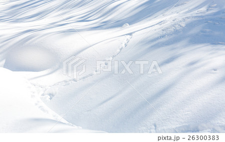 Snow texture 26300383