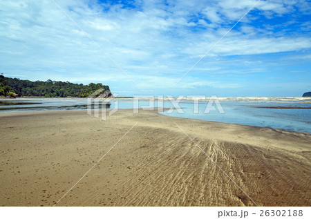 Tajor beach in Bako National Park Tajor beach in Bako National Park 26302188