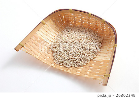 もち麦 26302349