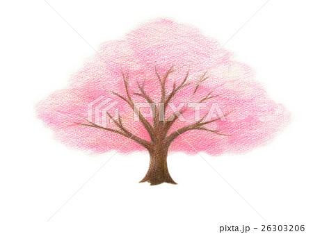 Cherry Tree Stock Illustration