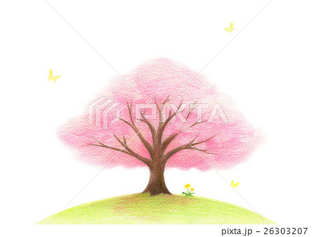 Cherry Tree No Background Stock Illustration