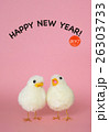 ひよこHappyNewYear 26303733