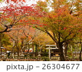 紅葉2015京都化野念仏寺004 26304677
