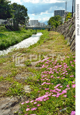 松本散歩:街中を流れる女鳥羽川 松本散歩:街中を流れる女鳥羽川 26304986