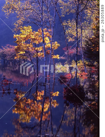 栃木県日光市千手が浜の幻想的な風景 栃木県日光市千手が浜の幻想的な風景 26305889