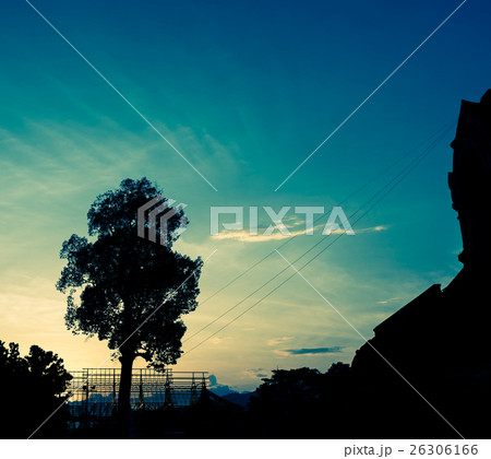 silhouette shot image of tree and sunset sky silhouette shot image of tree and sunset sky 26306166