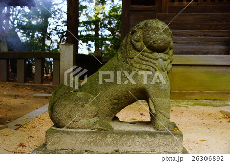 穂高神社の狛犬 26306892