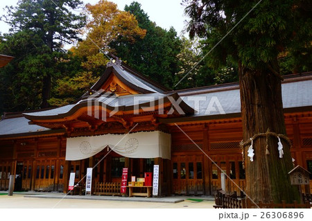 穂高神社と御神木 穂高神社と御神木 26306896