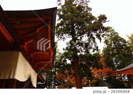 穂高神社と御神木 穂高神社と御神木 26306908