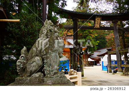 穂高神社の狛犬と大鳥居 穂高神社の狛犬と大鳥居 26306912