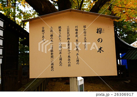 穂高神社（けやきの木）案内板 26306917