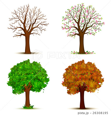 Four seasons trees vector 26308195