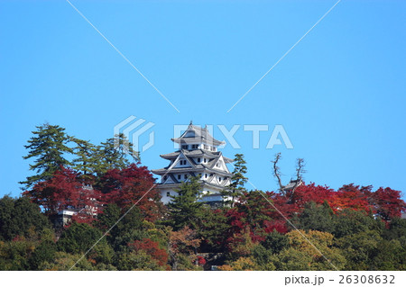秋の郡上八幡城 秋の郡上八幡城 26308632