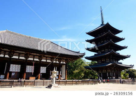 興福寺　五重塔と東金堂 26309156
