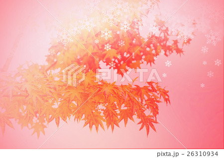 Abstract autumn leaves winter scene. Abstract autumn leaves winter scene. 26310934