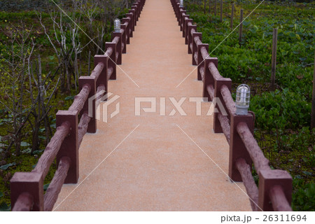 Concrete walkway in the water park 26311694