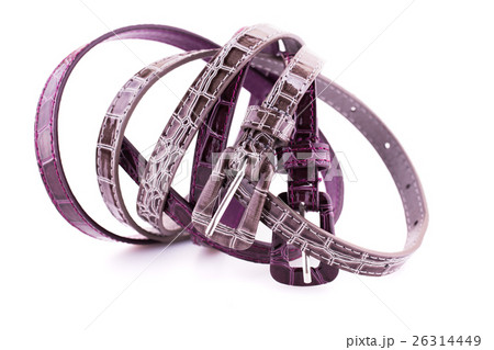 Stylish belts 26314449
