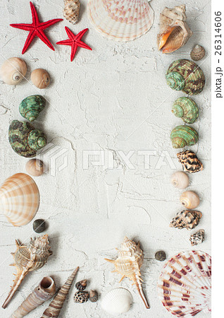 Frame of shells and starfishes Frame of shells and starfishes 26314606