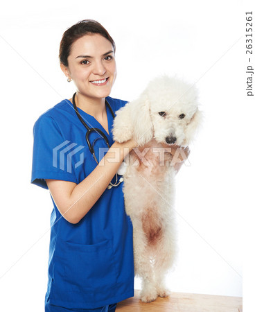 healthy dog with veterinar 26315261