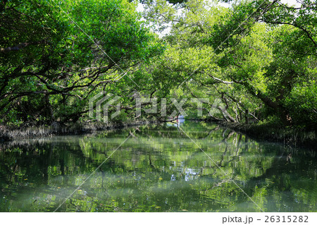 台湾 台南 反射 26315282